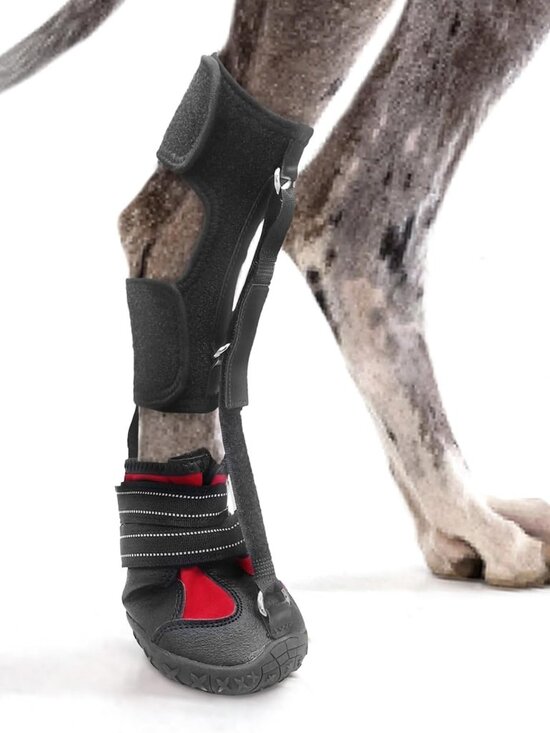 HAGGEMI Other - Strap-On Drop Foot Brace (No Knuckling Boot Brace) for Dogs